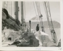 Image of Hal Evans on deck- deck view of Bowdoin